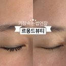 뷰티몽드 - 광주시 | 기장 속눈썹 연장|잘하는 곳 르몽드뷰티 LED속눈썹연장 후기