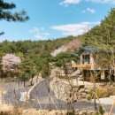 두루웰자연휴양림 이미지