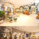 독일뮌헨 이미지