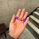 [집사일기] 궁팡 참전 후기│2025 궁디팡팡캣페스타, 고양이박람회