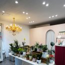 꽃사슴 | 수유역꽃집 꽃사슴 환갑 꽃다발 후기