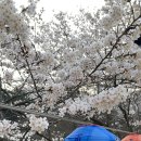 명상길 | 공주 마곡사 템플스테이 2일차 후기. 스님과의 차담, 백범명상길 걷기, 마지막 점심공양
