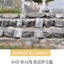물사랑정원 네이버블로그