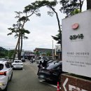 강릉짬뽕순두부 운정점 | [강원도 강릉시] 강릉짬뽕순두부 동화가든 내돈내산 후기
