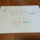 정아호프 이미지