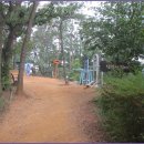 서리풀길 20 이미지