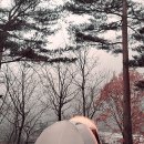 진부농협주유소 이미지