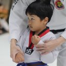 경희대화랑KTIGERS태권도 | 신도안태권도 한 폭의 태권도 성장이야기