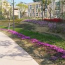 청계중앙공원 2 이미지