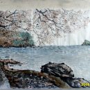 개인(강정숙) 이미지