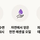 허니슬립 이미지