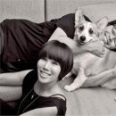 똘똘이농장 이미지