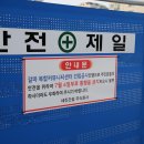 리본(Reborn) 이미지