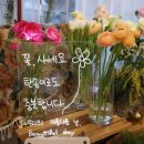 뷰티풀데이플라워 이미지