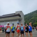 삼척 황영조마라톤 국제대회 이미지