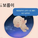2024.6월(2) : 임신 24-25주차 일상