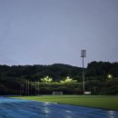 열우물경기장 지하1층 | 인천문학경기장 주차장 꿀팁 및 주경기장 지정석 시야
