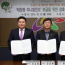 대한에너지태양광발전소 이미지