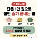 단돈 “만원”으로 장마 대비 끝‼️ 다이소 추천템 & 가구 습기 관리 꿀팁 ✨
