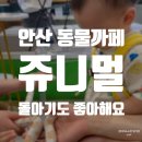 메가후르츠안산리드스마트점 | 안산 쥬니멀 돌아기랑 파충류 고양이 까페 내돈내산 후기