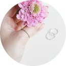 코튼캔디 이미지