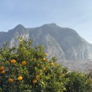 빌라노이제주 | 서귀포 산방산숙소, 빌라노이제주 추천해요!!!