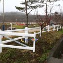 산청승마장 이미지