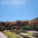 서울근교글램핑 일리다 글램핑456 국내여행 글램핑장 위치 가격 후기