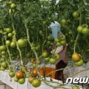 보성군쓰레기소각장 이미지