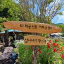 삼시세끼 산촌편 정선 신동 촬영 현장을 갔네요... 이미지