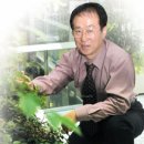 정원시스템 Daum카페