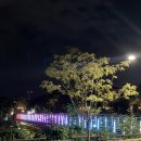 벙커비(Bunker.B)
