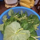 장아찌 이미지