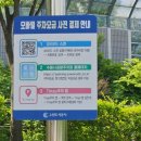 그늘막127 | 광교호수공원 피크닉 명소｜호수뷰 산책과 애견동반 데이트 후기