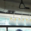 황산흑염소 이미지
