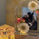 삼안로221번길 이미지