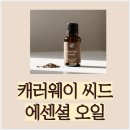 소화에 좋은 캐러웨이씨드 에센셜 오일 효능부터 활용법까지