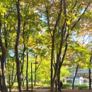 양재시민의 숲 5번 출구 앞 이미지