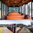 UR(서귀포시)-[남조로]-상-5 | 제주 에코랜드 테마파크 11월 겨울 제주도 여행