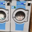 빨다 세탁소 이미지