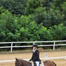 신경주대학교 승마장 이미지