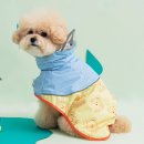 에스케이피부매니져