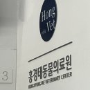 눈물 펑펑 흘린 고양이 집사 유승호가 이해가는 포항 고양이 동물병원 홍경태 동물의료원 진료 후기