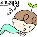 하이렌필라테스