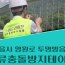 영원로 네이버블로그