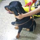 한수풀동물병원 이미지