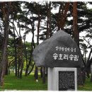 영동여행 - 영동 양산면 송호국민관광지와 강선대 이미지