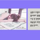 카피아 이미지
