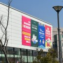 봉담세화의원앞삼거리 | [🤰임신 일기] 23~24주 | 친정집 | 24년 임산부 친환경농산물 지원사업 선정 | 임산부 치과 치료...