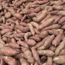잉여 농산물 고구마 판매 130kg : 판매완료 이미지